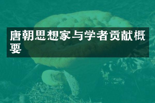 唐朝思想家与学者贡献概要
