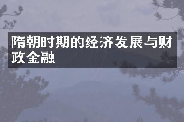 隋朝时期的经济发展与财政金融