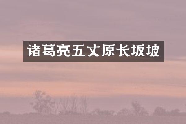 诸葛亮五丈原长坂坡