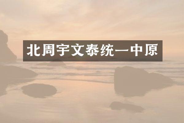 北周宇文泰统一中原