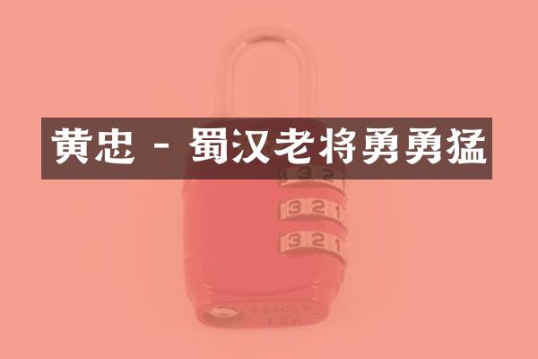 黄忠 - 蜀汉老将勇勇猛