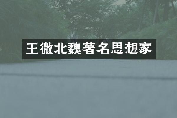王微北魏著名思想家