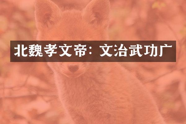 北魏孝文帝: 文治武功广