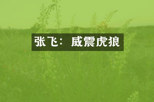 张飞：威震虎狼