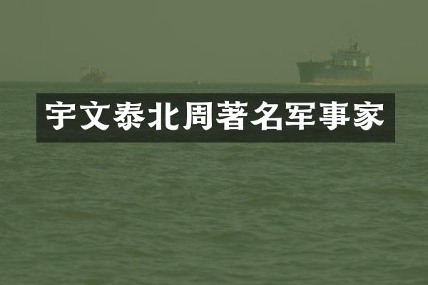 宇文泰北周著名军事家