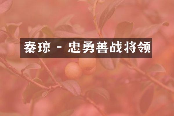 秦琼 - 忠勇善战将领