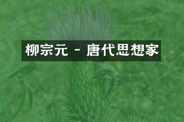 柳宗元 - 唐代思想家