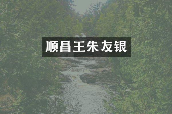 顺昌王朱友银