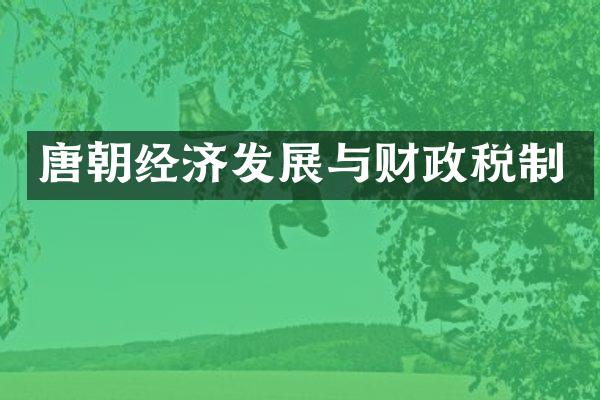 唐朝经济发展与财政税制