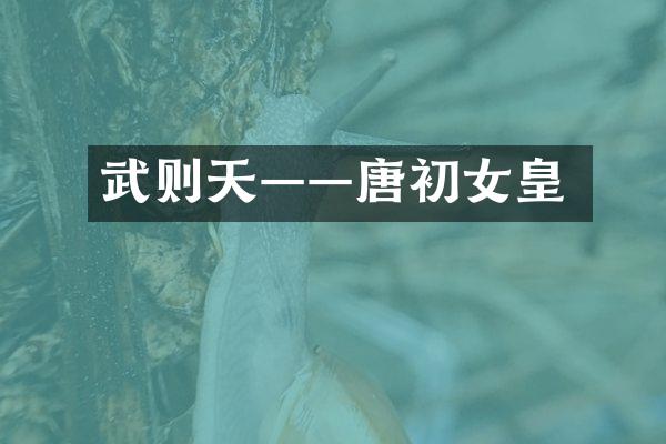 武则天——唐初女皇