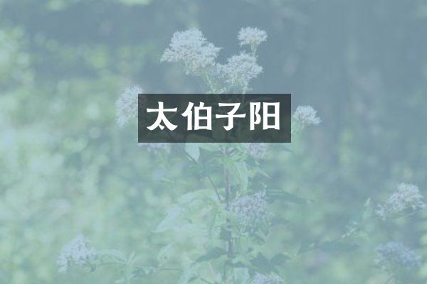 太伯子阳