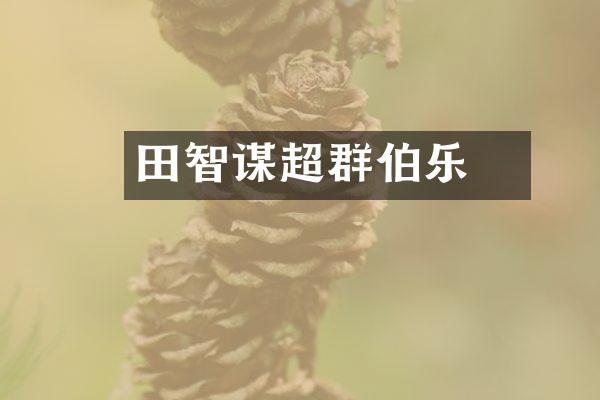 田蚡智谋超群伯乐