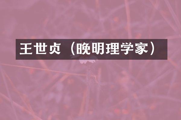 王世贞（晚明理学家）