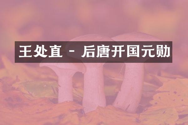 王处直 - 后唐开国元勋