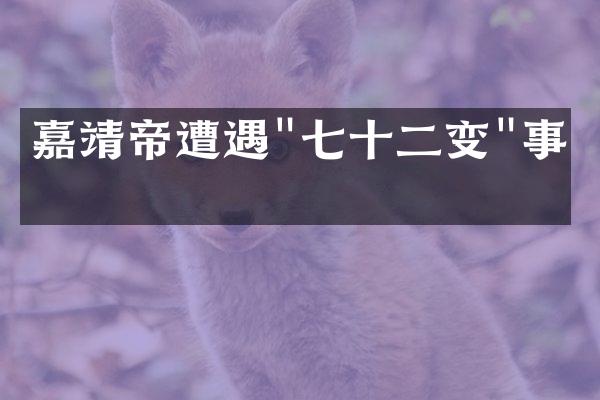 嘉靖帝遭遇