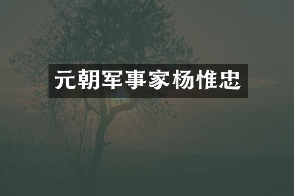 元朝军事家杨惟忠