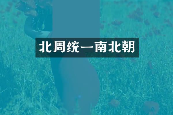 北周统一南北朝