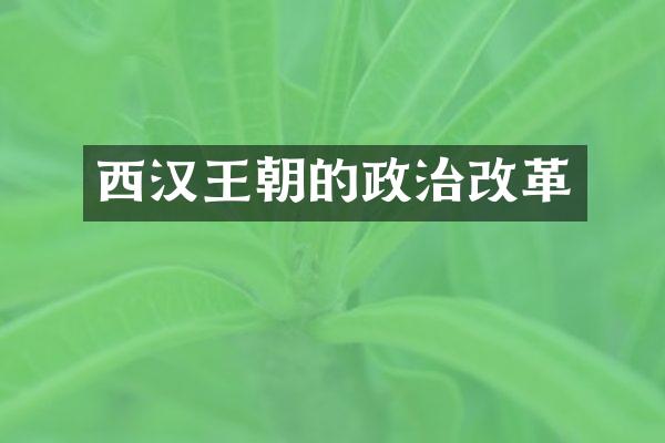 西汉王朝的政治改革