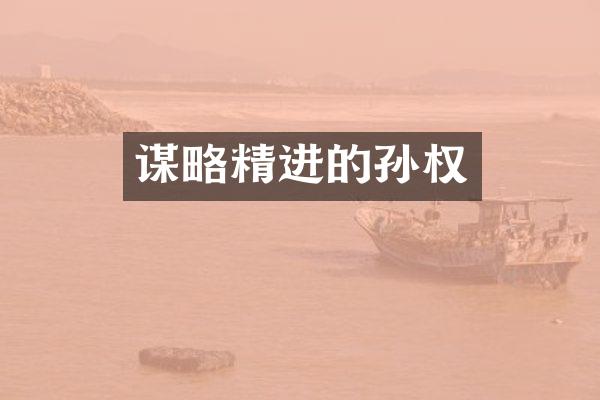 谋略精进的孙权