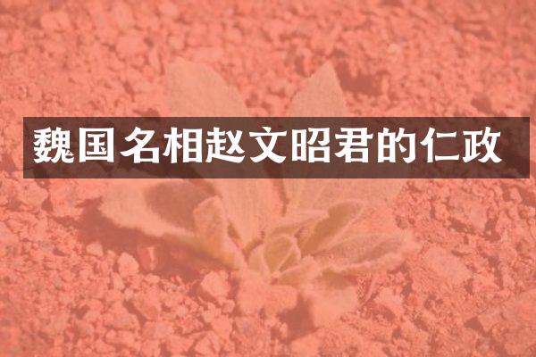 魏国名相赵文昭君的仁政