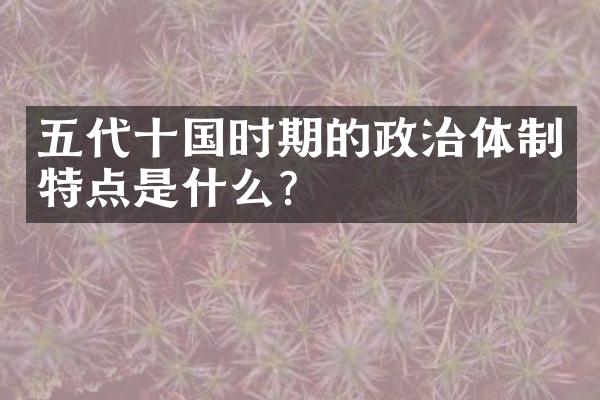 五代十国时期的政治体制特点是什么？