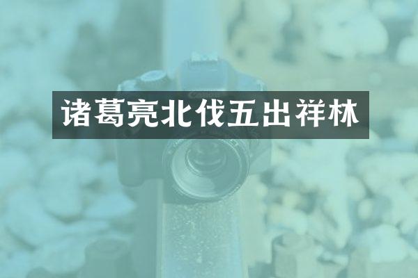 诸葛亮北伐五出祥林