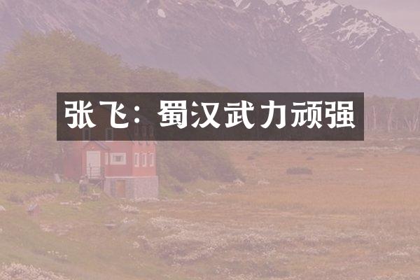 张飞: 蜀汉武力顽强