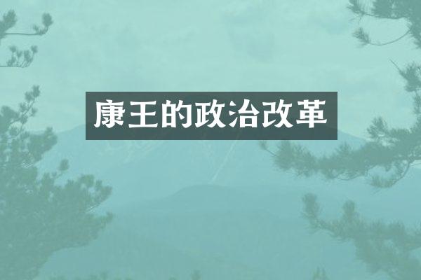 康王的政治改革