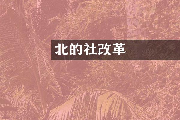 北齊的經濟社會改革