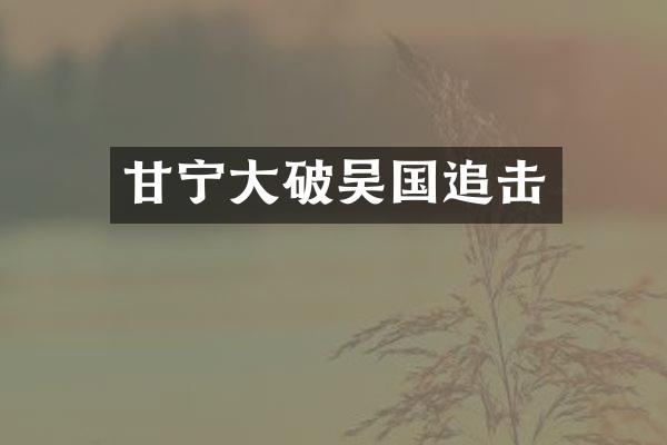 甘宁大破吴国追击