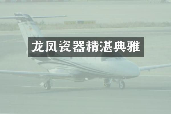 龙凤瓷器精湛典雅