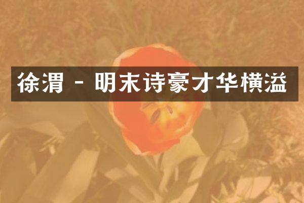 徐渭 - 明末诗豪才华横溢