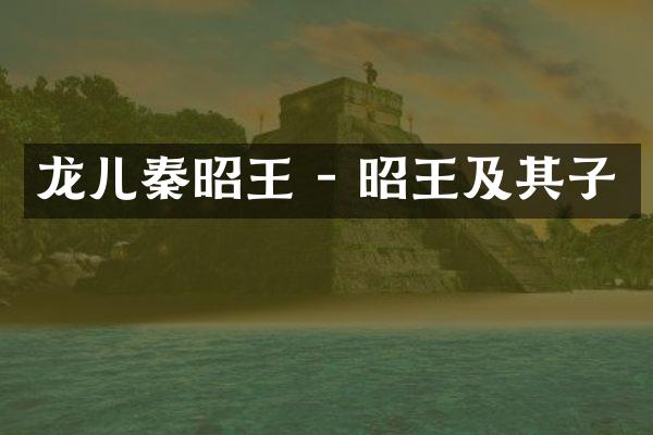龙儿秦昭王 - 昭王及其子