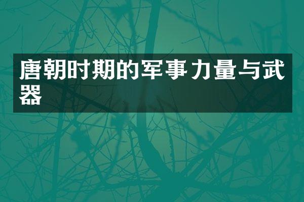 唐朝时期的军事力量与武器