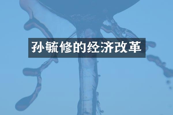 孙毓修的经济改革