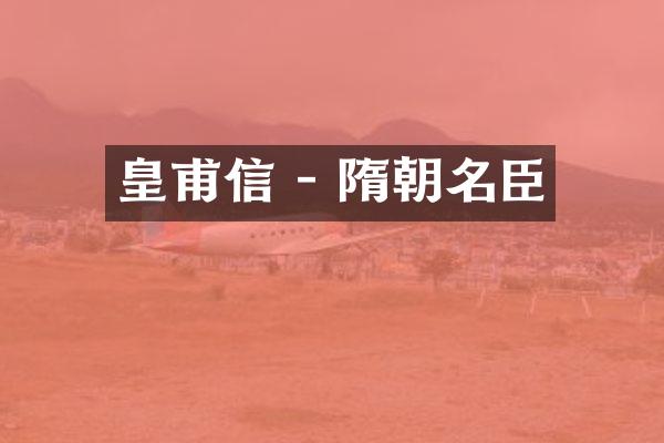 皇甫信 - 隋朝名臣