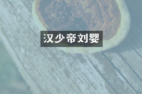 汉少帝刘婴