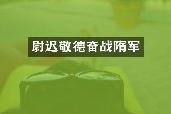 尉迟敬德奋战隋军