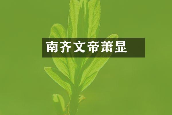 南齐�文帝萧显