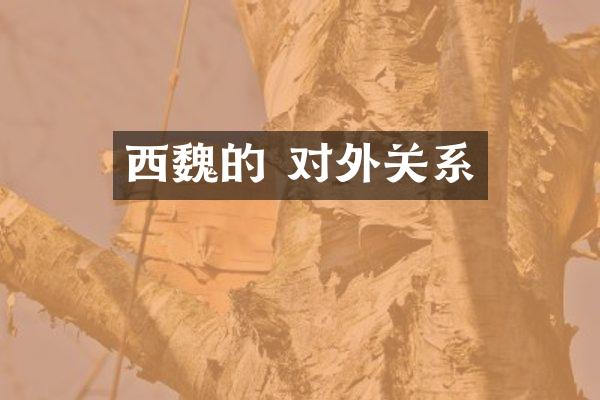 西魏的 对外关系