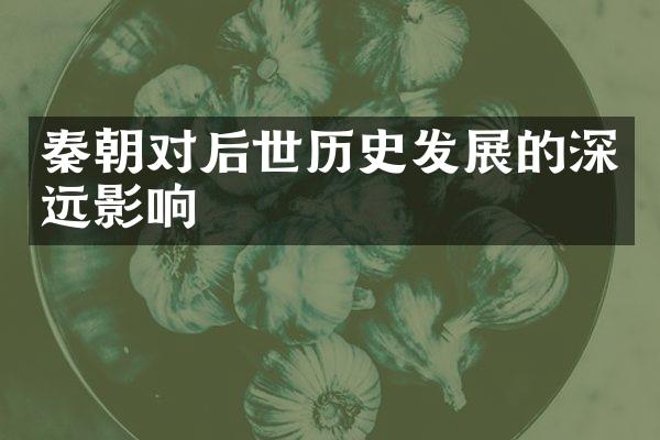秦朝对后世历史发展的深远影响