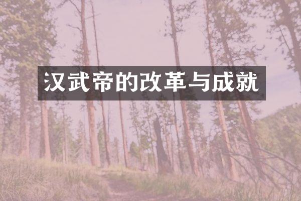 汉武帝的改革与成就