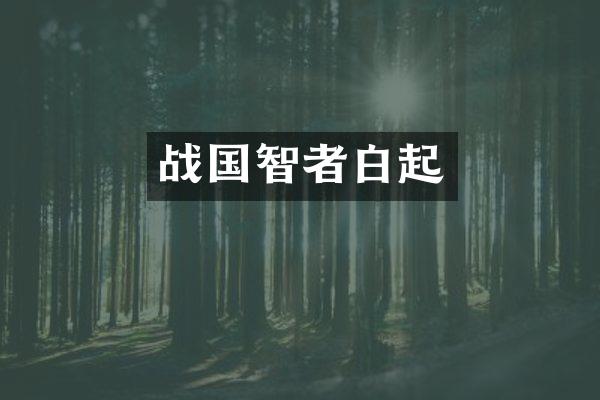 战国智者白起
