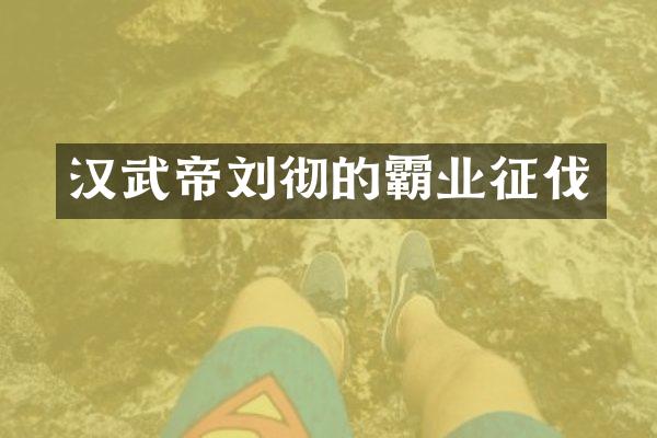 汉武帝刘彻的霸业征伐