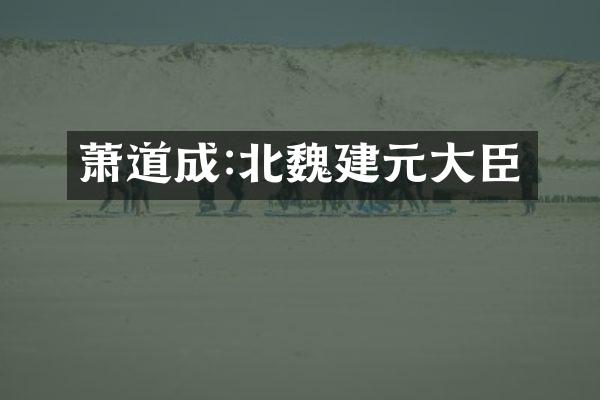 萧道成:北魏建元大臣