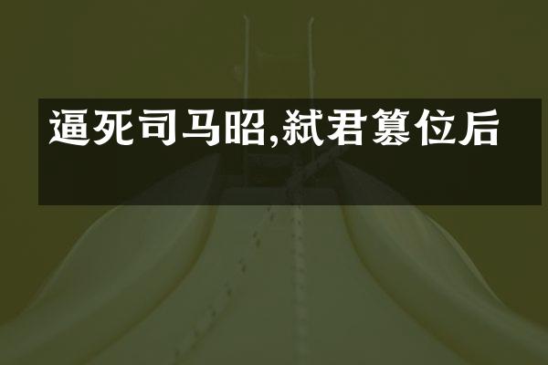 逼死司马昭,弑君篡位后果