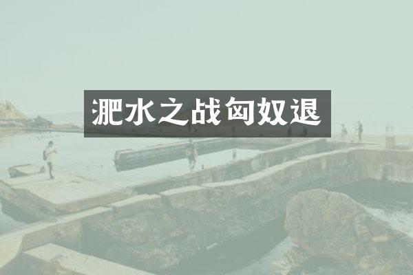 淝水之战匈奴退