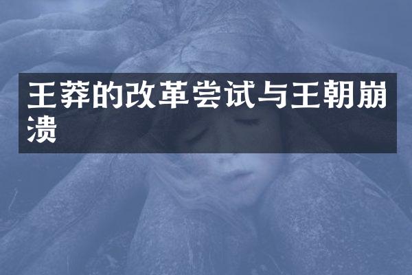 王莽的改革尝试与王朝崩溃