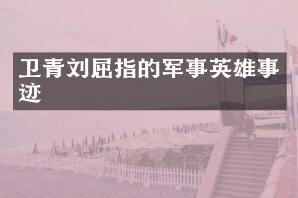 卫青刘屈指的军事英雄事迹