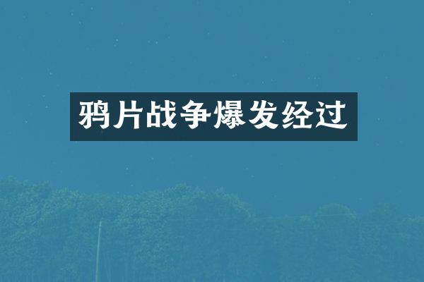 战争爆发经过
